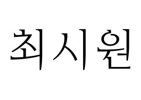 KPOP Super Junior(슈퍼주니어、スーパージュニア) 시원 (シウォン) 応援ボード・うちわ　韓国語/ハングル文字型紙 通常