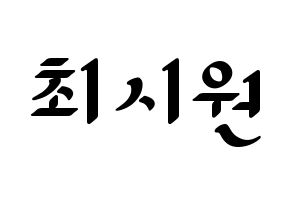 KPOP Super Junior(슈퍼주니어、スーパージュニア) 시원 (シウォン) 応援ボード ハングル 型紙  通常