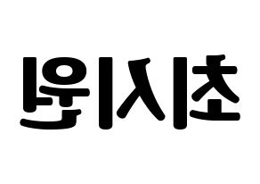 KPOP Super Junior(슈퍼주니어、スーパージュニア) 시원 (シウォン) コンサート用　応援ボード・うちわ　韓国語/ハングル文字型紙 左右反転