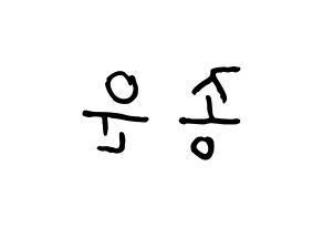 KPOP Super Junior(슈퍼주니어、スーパージュニア) 예성 (イェソン) k-pop 応援ボード メッセージ 型紙 左右反転
