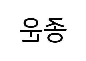 KPOP Super Junior(슈퍼주니어、スーパージュニア) 예성 (イェソン) コンサート用　応援ボード・うちわ　韓国語/ハングル文字型紙 左右反転