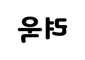 KPOP Super Junior(슈퍼주니어、スーパージュニア) 려욱 (リョウク) 応援ボード・うちわ　韓国語/ハングル文字型紙 左右反転