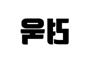 KPOP Super Junior(슈퍼주니어、スーパージュニア) 려욱 (リョウク) コンサート用　応援ボード・うちわ　韓国語/ハングル文字型紙 左右反転
