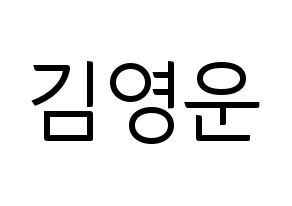 KPOP Super Junior(슈퍼주니어、スーパージュニア) 강인 (カンイン) コンサート用　応援ボード・うちわ　韓国語/ハングル文字型紙 通常