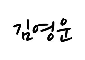 KPOP Super Junior(슈퍼주니어、スーパージュニア) 강인 (カンイン) 応援ボード ハングル 型紙  通常