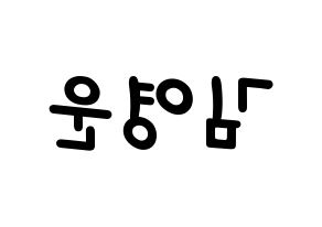 KPOP Super Junior(슈퍼주니어、スーパージュニア) 강인 (カンイン) 名前 応援ボード 作り方 左右反転