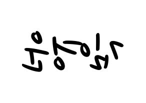 KPOP Super Junior(슈퍼주니어、スーパージュニア) 강인 (カンイン) 応援ボード ハングル 型紙  左右反転