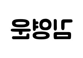 KPOP Super Junior(슈퍼주니어、スーパージュニア) 강인 (キム・ヨンウン, カンイン) 応援ボード、うちわ無料型紙、応援グッズ 左右反転