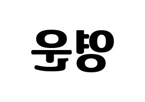 KPOP Super Junior(슈퍼주니어、スーパージュニア) 강인 (カンイン) コンサート用　応援ボード・うちわ　韓国語/ハングル文字型紙 左右反転