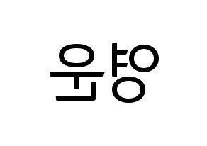 KPOP Super Junior(슈퍼주니어、スーパージュニア) 강인 (カンイン) コンサート用　応援ボード・うちわ　韓国語/ハングル文字型紙 左右反転
