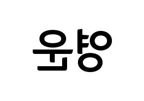 KPOP Super Junior(슈퍼주니어、スーパージュニア) 강인 (カンイン) k-pop アイドル名前 ファンサボード 型紙 左右反転