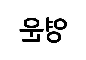 KPOP Super Junior(슈퍼주니어、スーパージュニア) 강인 (カンイン) k-pop アイドル名前 ファンサボード 型紙 左右反転