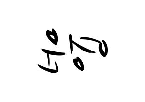 KPOP Super Junior(슈퍼주니어、スーパージュニア) 강인 (カンイン) k-pop 応援ボード メッセージ 型紙 左右反転