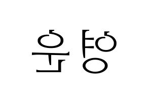 KPOP Super Junior(슈퍼주니어、スーパージュニア) 강인 (カンイン) 応援ボード・うちわ　韓国語/ハングル文字型紙 左右反転