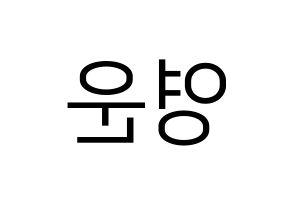 KPOP Super Junior(슈퍼주니어、スーパージュニア) 강인 (カンイン) プリント用応援ボード型紙、うちわ型紙　韓国語/ハングル文字型紙 左右反転