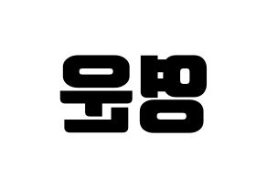 KPOP Super Junior(슈퍼주니어、スーパージュニア) 강인 (カンイン) コンサート用　応援ボード・うちわ　韓国語/ハングル文字型紙 左右反転