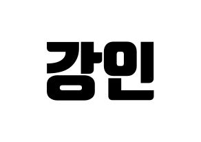 KPOP Super Junior(슈퍼주니어、スーパージュニア) 강인 (カンイン) コンサート用　応援ボード・うちわ　韓国語/ハングル文字型紙 通常