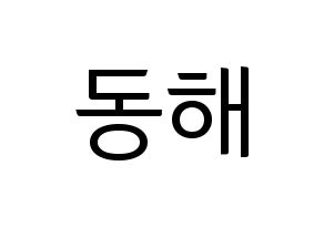 KPOP Super Junior(슈퍼주니어、スーパージュニア) 동해 (ドンヘ) コンサート用　応援ボード・うちわ　韓国語/ハングル文字型紙 通常