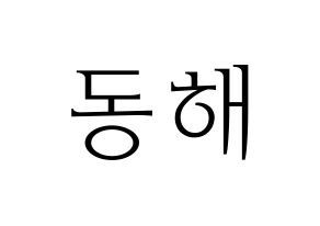 KPOP Super Junior(슈퍼주니어、スーパージュニア) 동해 (ドンヘ) 応援ボード・うちわ　韓国語/ハングル文字型紙 通常