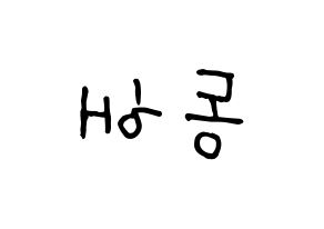 KPOP Super Junior(슈퍼주니어、スーパージュニア) 동해 (ドンヘ) k-pop 応援ボード メッセージ 型紙 左右反転