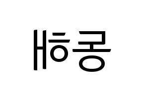 KPOP Super Junior(슈퍼주니어、スーパージュニア) 동해 (ドンヘ) コンサート用　応援ボード・うちわ　韓国語/ハングル文字型紙 左右反転