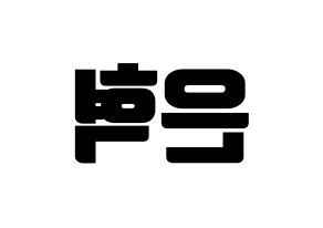 KPOP Super Junior(슈퍼주니어、スーパージュニア) 은혁 (ウニョク) コンサート用　応援ボード・うちわ　韓国語/ハングル文字型紙 左右反転