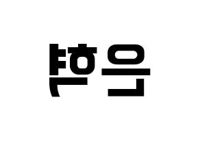 KPOP Super Junior(슈퍼주니어、スーパージュニア) 은혁 (ウニョク) k-pop アイドル名前 ファンサボード 型紙 左右反転