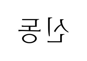 KPOP Super Junior(슈퍼주니어、スーパージュニア) 신동 (シンドン) 応援ボード・うちわ　韓国語/ハングル文字型紙 左右反転