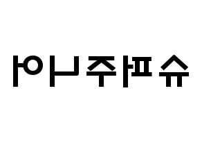 KPOP歌手 Super Junior(슈퍼주니어、スーパージュニア) 応援ボード型紙、うちわ型紙　韓国語/ハングル文字 左右反転