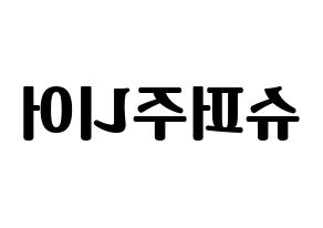 無料 KPOP Super Junior(슈퍼주니어、スーパージュニア) ハングルボード型紙、ハングルうちわ型紙 左右反転