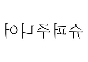 無料 KPOP歌手 Super Junior(슈퍼주니어、スーパージュニア) ハングル応援ボード型紙、応援グッズ制作 左右反転