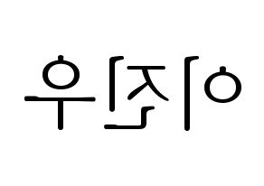KPOP TEEN TEEN(틴틴、ティーンティーン) 이진우 (イ・ジヌ) 応援ボード・うちわ　韓国語/ハングル文字型紙 左右反転