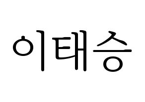KPOP TEEN TEEN(틴틴、ティーンティーン) 이태승 (イ・テスン) 応援ボード・うちわ　韓国語/ハングル文字型紙 通常