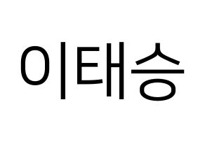 KPOP TEEN TEEN(틴틴、ティーンティーン) 이태승 (イ・テスン) プリント用応援ボード型紙、うちわ型紙　韓国語/ハングル文字型紙 通常