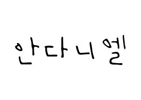 KPOP TEEN TOP(틴탑、ティーントップ) 니엘 (ニエル) 応援ボード ハングル 型紙  通常