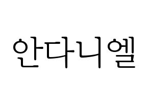 KPOP TEEN TOP(틴탑、ティーントップ) 니엘 (ニエル) 応援ボード・うちわ　韓国語/ハングル文字型紙 通常