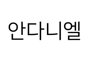 KPOP TEEN TOP(틴탑、ティーントップ) 니엘 (ニエル) プリント用応援ボード型紙、うちわ型紙　韓国語/ハングル文字型紙 通常