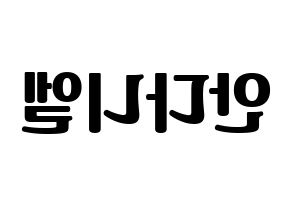 KPOP TEEN TOP(틴탑、ティーントップ) 니엘 (ニエル) コンサート用　応援ボード・うちわ　韓国語/ハングル文字型紙 左右反転