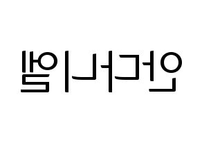 KPOP TEEN TOP(틴탑、ティーントップ) 니엘 (ニエル) コンサート用　応援ボード・うちわ　韓国語/ハングル文字型紙 左右反転