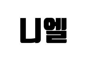 KPOP TEEN TOP(틴탑、ティーントップ) 니엘 (ニエル) コンサート用　応援ボード・うちわ　韓国語/ハングル文字型紙 通常