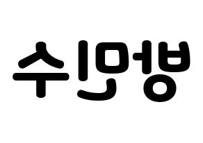 KPOP TEEN TOP(틴탑、ティーントップ) 캡 (キャップ) 応援ボード・うちわ　韓国語/ハングル文字型紙 左右反転