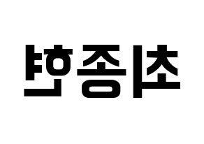 KPOP TEEN TOP(틴탑、ティーントップ) 창조 (チャンジョ) k-pop アイドル名前 ファンサボード 型紙 左右反転