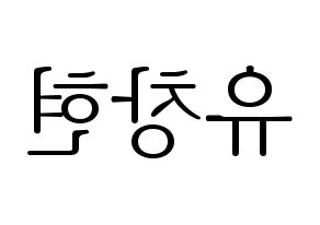 KPOP TEEN TOP(틴탑、ティーントップ) 리키 (リッキー) 応援ボード・うちわ　韓国語/ハングル文字型紙 左右反転
