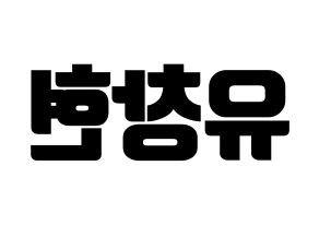 KPOP TEEN TOP(틴탑、ティーントップ) 리키 (リッキー) コンサート用　応援ボード・うちわ　韓国語/ハングル文字型紙 左右反転