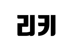 KPOP TEEN TOP(틴탑、ティーントップ) 리키 (リッキー) コンサート用　応援ボード・うちわ　韓国語/ハングル文字型紙 通常