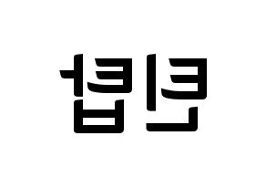 KPOP TEEN TOP(틴탑、ティーントップ) k-pop ファンサ ボード 型紙 左右反転