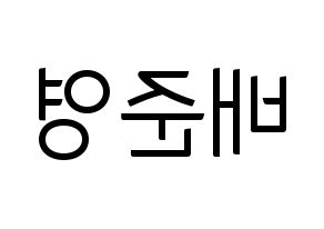 KPOP THE BOYZ(더보이즈、ザ・ボーイズ) 제이콥 (ジェイコブ) コンサート用　応援ボード・うちわ　韓国語/ハングル文字型紙 左右反転