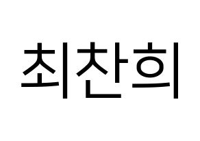 KPOP THE BOYZ(더보이즈、ザ・ボーイズ) 뉴 (ニュー) プリント用応援ボード型紙、うちわ型紙　韓国語/ハングル文字型紙 通常