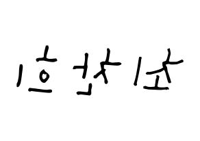 KPOP THE BOYZ(더보이즈、ザ・ボーイズ) 뉴 (チェ・チャニ, ニュー) 無料サイン会用、イベント会用応援ボード型紙 左右反転