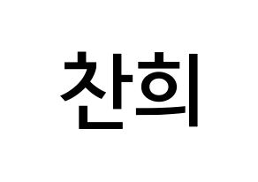 KPOP THE BOYZ(더보이즈、ザ・ボーイズ) 뉴 (チェ・チャニ, ニュー) 無料サイン会用、イベント会用応援ボード型紙 通常